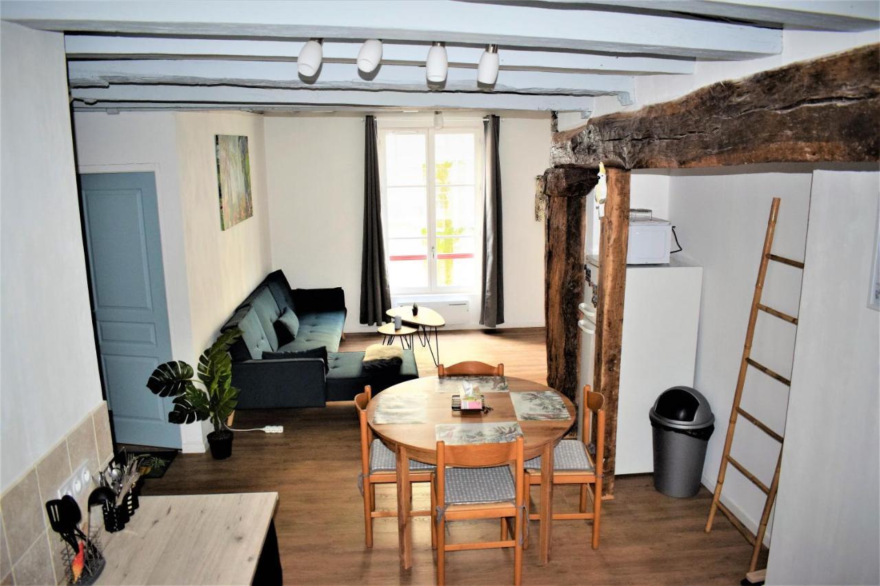 Gite Le Nid Des Zoo Zio, 5Mn Beauval, Appartement Terrasse Centre-Ville Saint-Aignan  Exterior photo