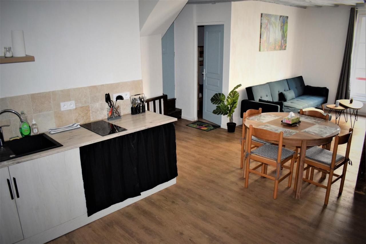 Gite Le Nid Des Zoo Zio, 5Mn Beauval, Appartement Terrasse Centre-Ville Saint-Aignan  Exterior photo