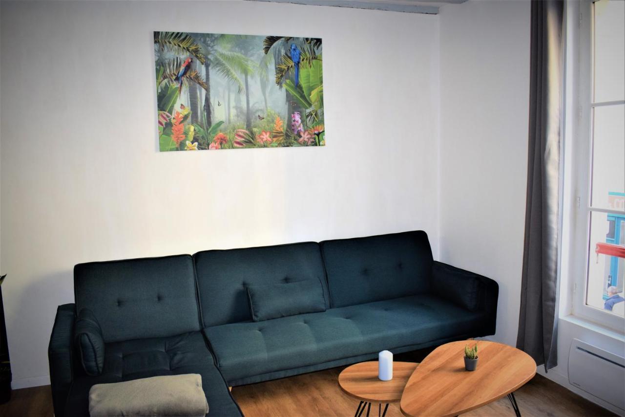 Gite Le Nid Des Zoo Zio, 5Mn Beauval, Appartement Terrasse Centre-Ville Saint-Aignan  Exterior photo